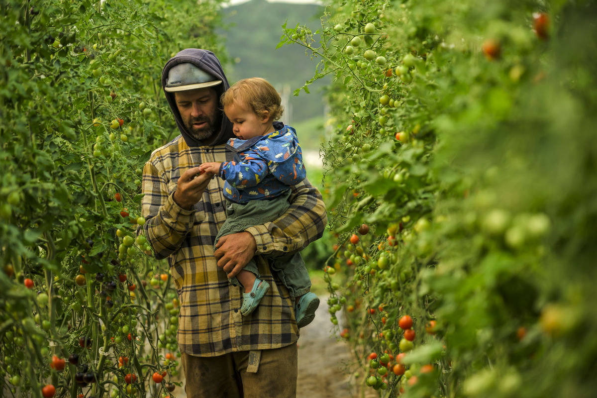 Farming Turns - Vom Freeride-Hero zum Bio-Bauern